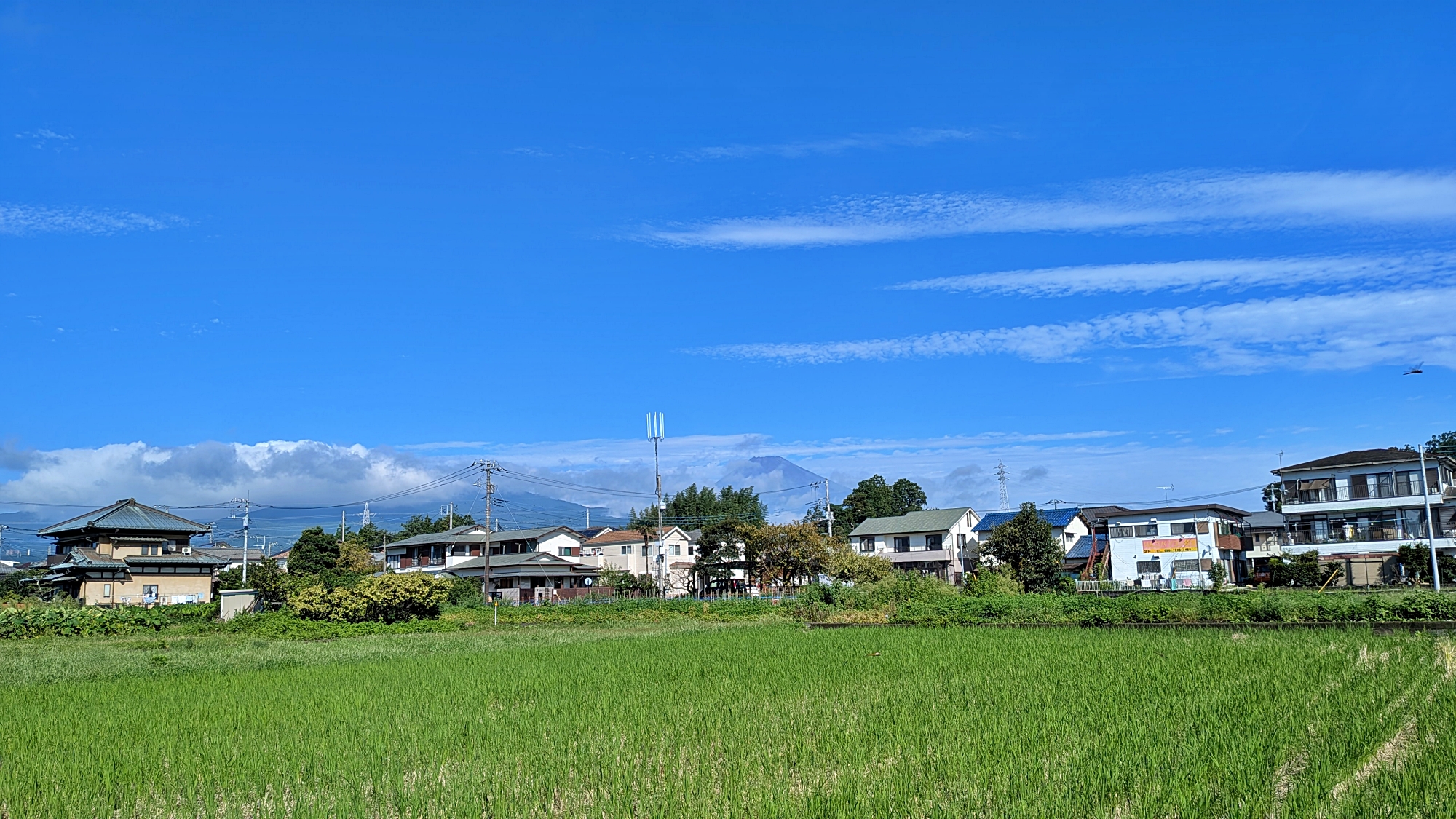 ブログ・台風一過